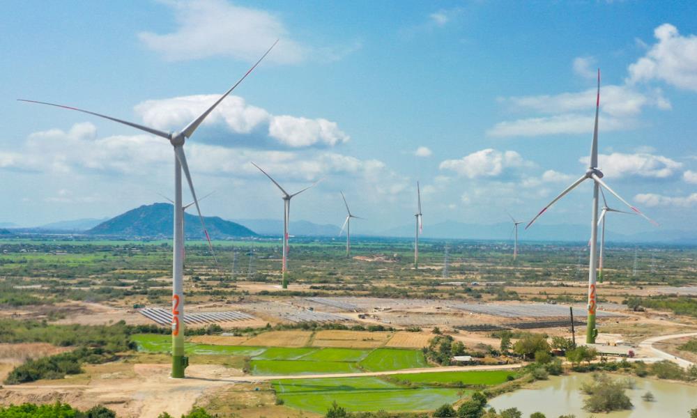 EVN đề xuất khung giá cho điện gió, mặt trời chuyển tiếp